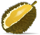 Koh Durian
